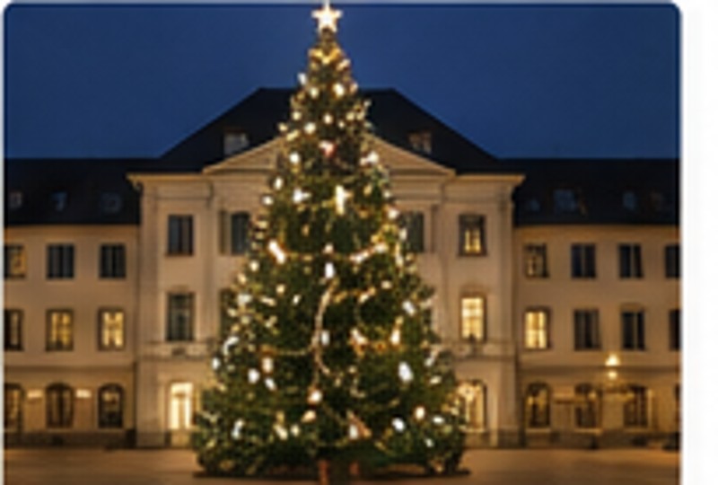 Weihnachtsbaum